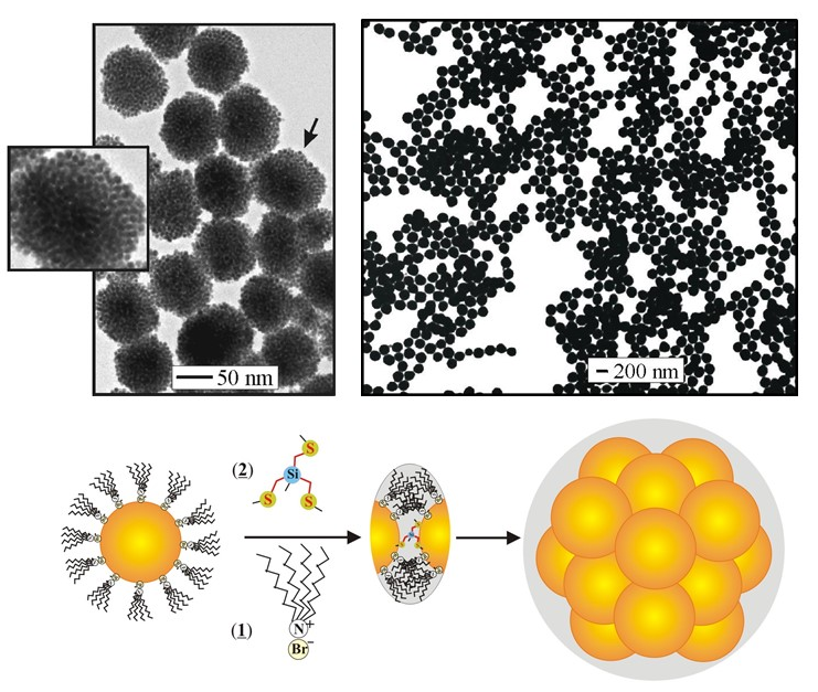 Image and Scheme showing mediator-template assembly of nanoparticles