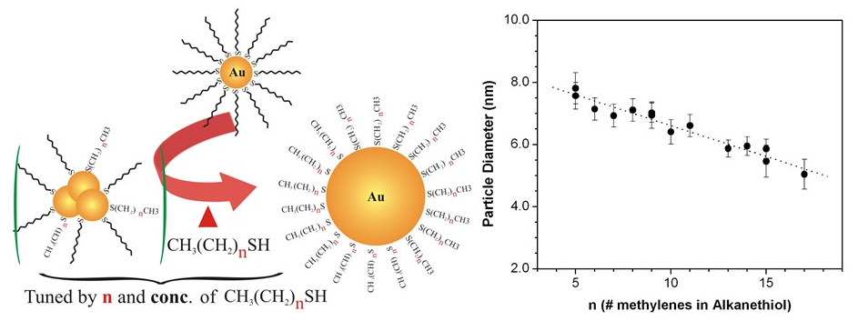 Image and Scheme showing molecularly-tuned size control of gold nanoparticles