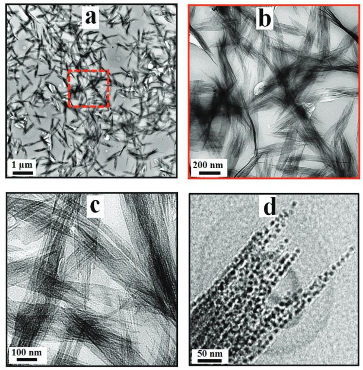 Image and Scheme showing growth and assembly of nanoclusters and nanoparticles