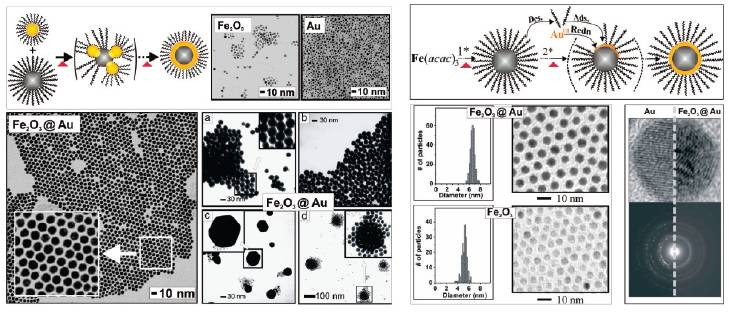 Image and Scheme showing magnetic core-shell nanoparticles and thin film assembly