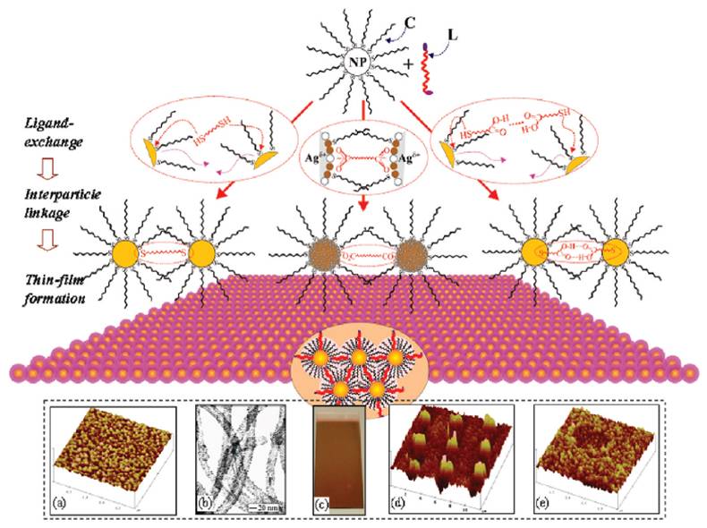 Image and Scheme showing magnetic core-shell nanoparticles and thin film assembly