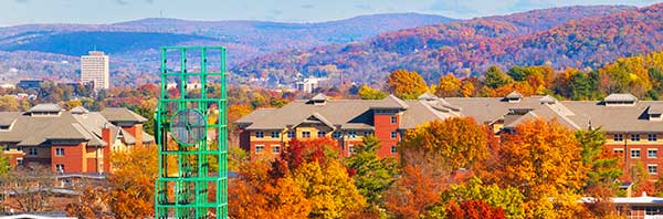 Binghamton landscape arial shot