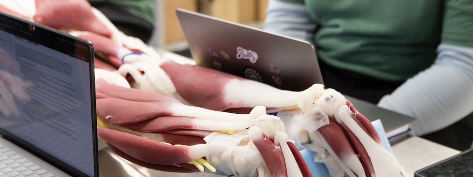 Anatomy and Physiology Laboratory Anatomy And Physiology Laboratory