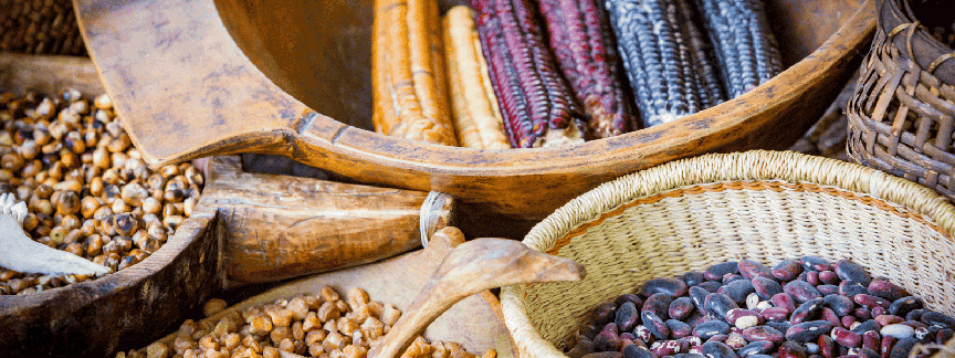 A selction of Native American seeds, maize and baskets.