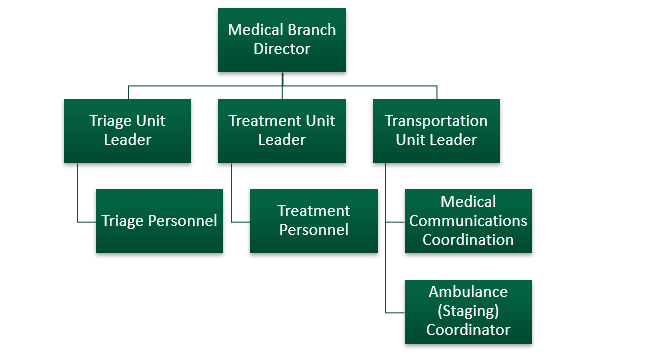 MCI Medical Branch Unit Structure