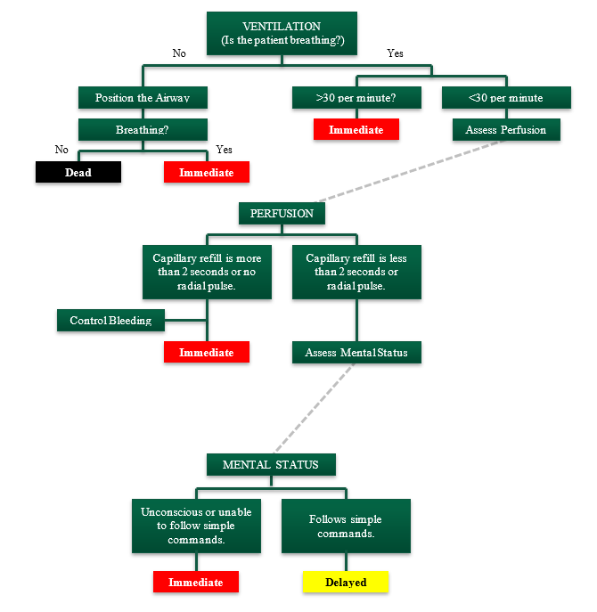 START Triage Algorithm