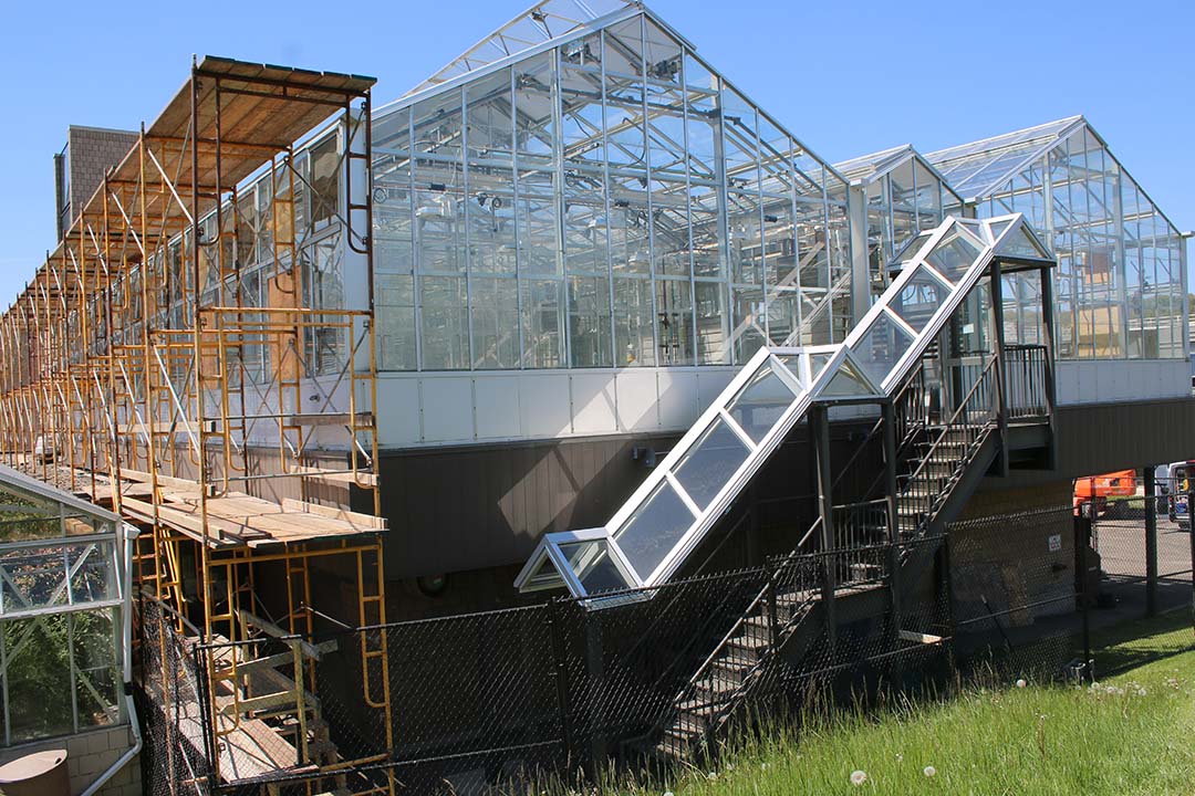 Greenhouse renovation