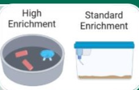 Behavioral Assessment