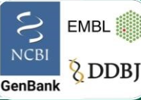 databases