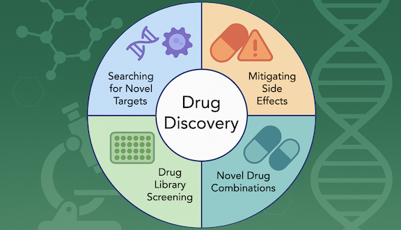 An infographic showing a circle labelled “Drug Discovery” in the center, with surrounding icons labelled “Searching for Novel Targets,” “Drug Library Screening,” “Novel Drug Combinations,”  and “Mitigating Side Effects” around the center. 