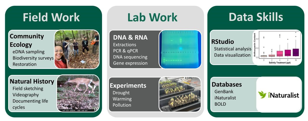 The visual includes three columns with field work on left, lab work in middle, and data skills on the right. The fieldwork includes community ecology, field sketching, videography, and documenting life cycles. Lab work includes DNA and RNA as well as experiments testing the effects of droughts, warming, and pollution. Data skills includes RStudio for statistical analysis and data visualization along with databases such as iNaturalist.