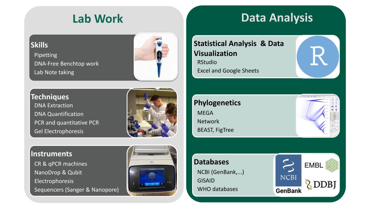 A flowchart with two columns—Lab Work and Data Analysis—showing images and key tools for each stage.