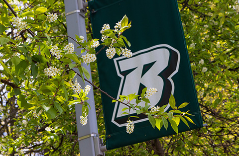 binghamton university spring photo
