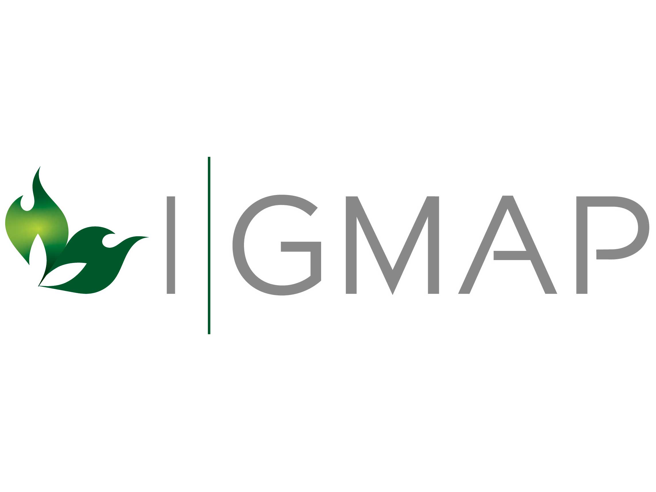 I-GMAP logo