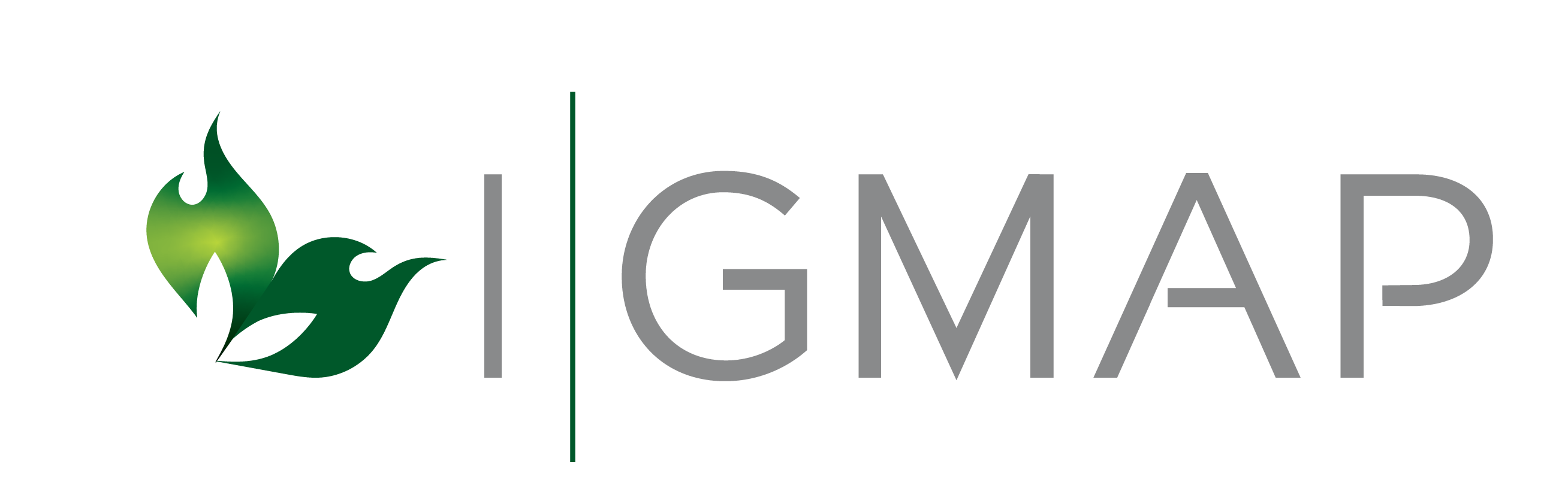 i-gmap logo