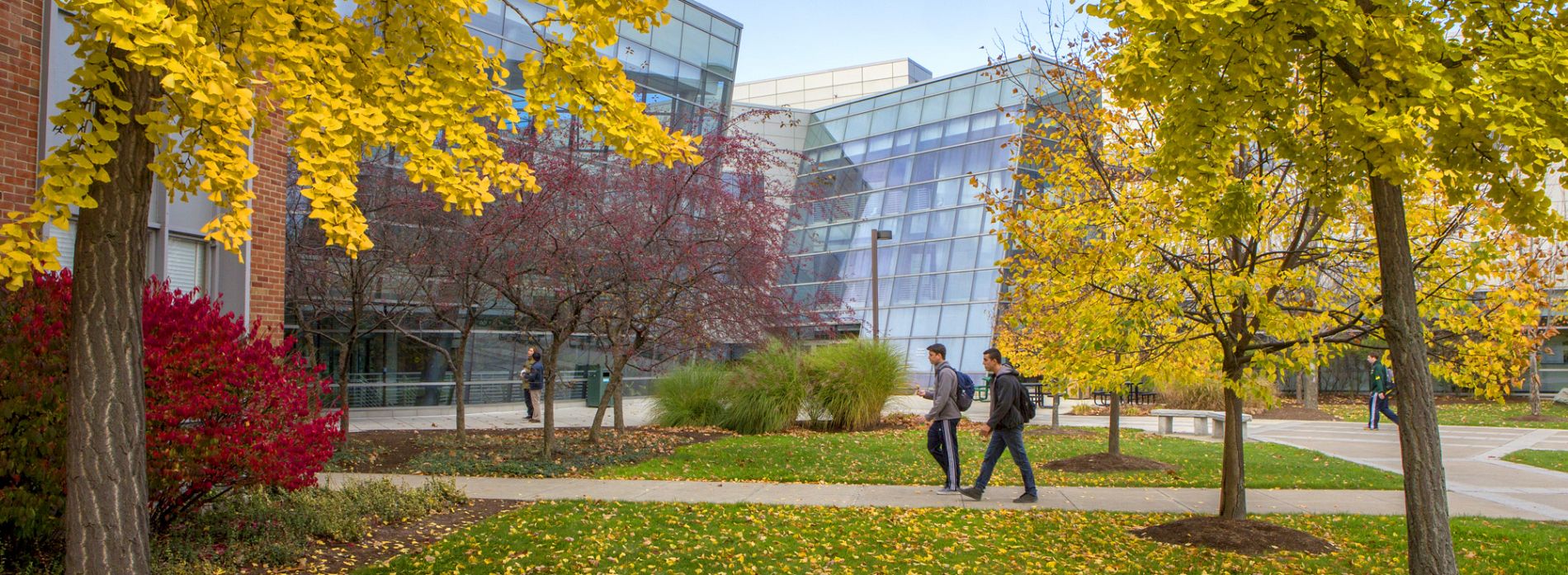 SOM Career Services Alumni Jobs School of Management Career