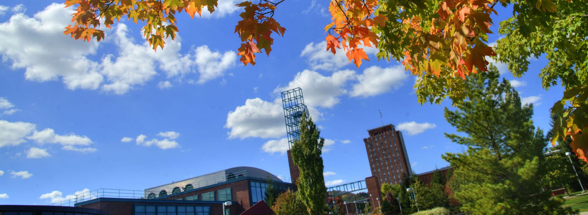 Jobs Human Resources Binghamton University