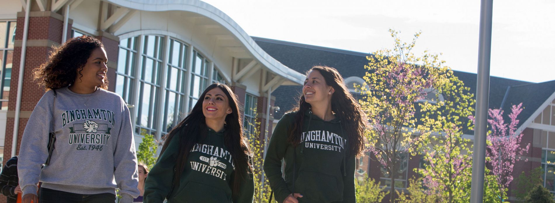 General Education - Enrolled Before Fall 2023 | General Education | Binghamton University