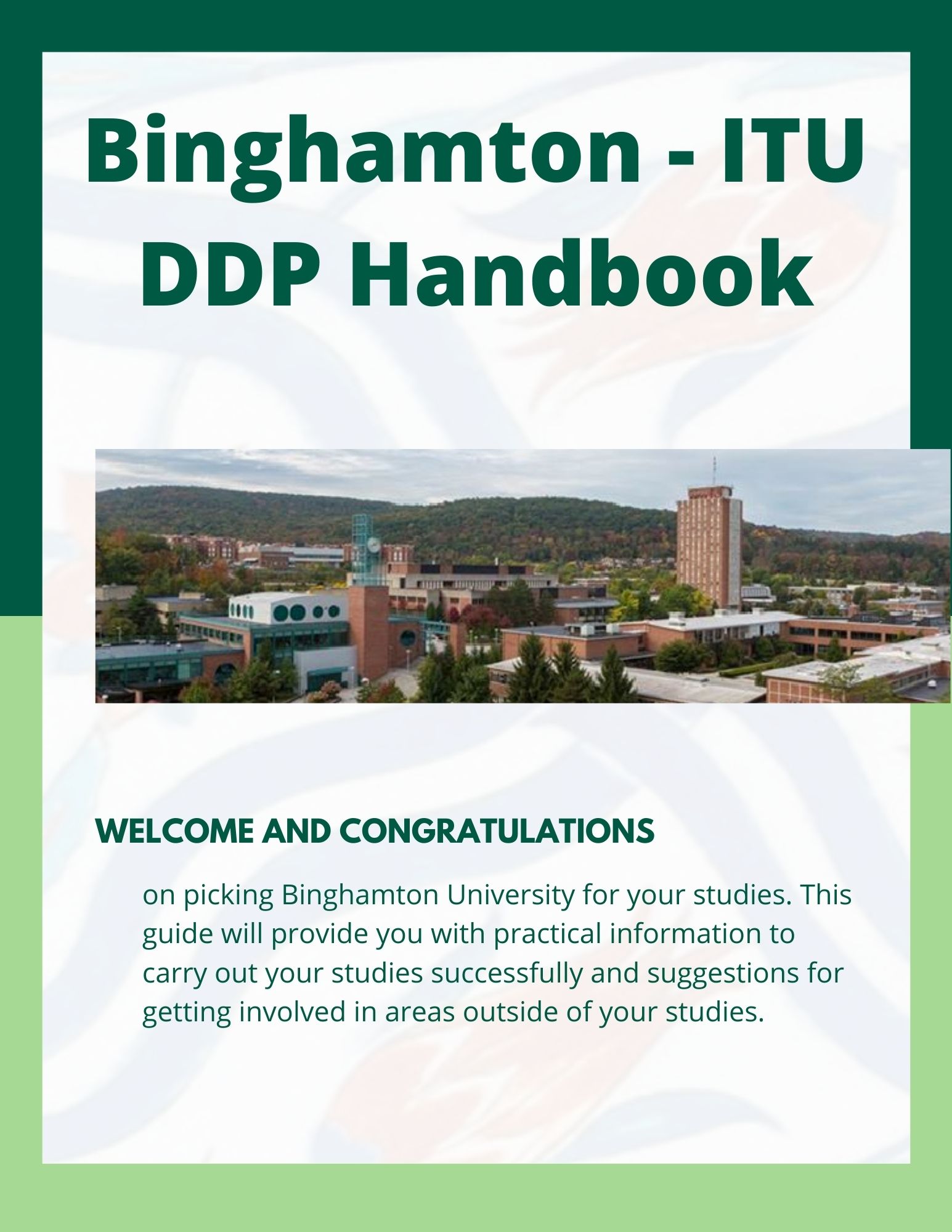 DDP Handbook