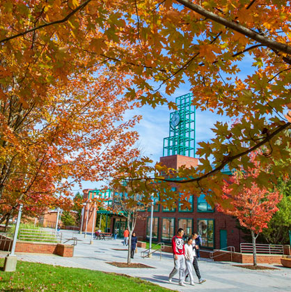Image of campus fall leaves FALL