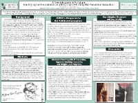 Casey and Sarah Poster