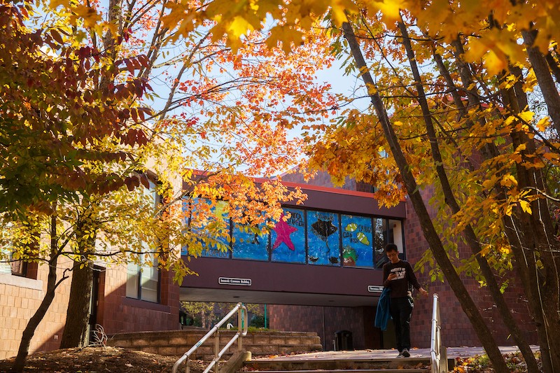 College In The Woods