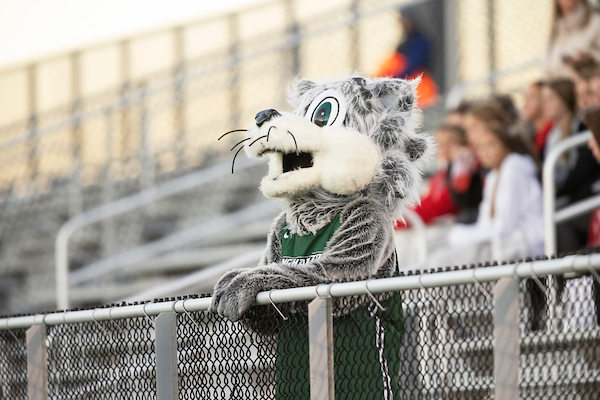 Baxter watching sports game