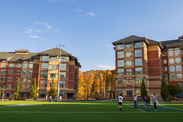 Dickinson field in the autumn evening