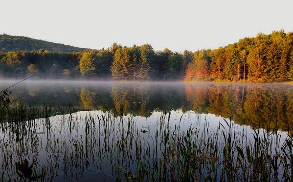 Nature Preserve