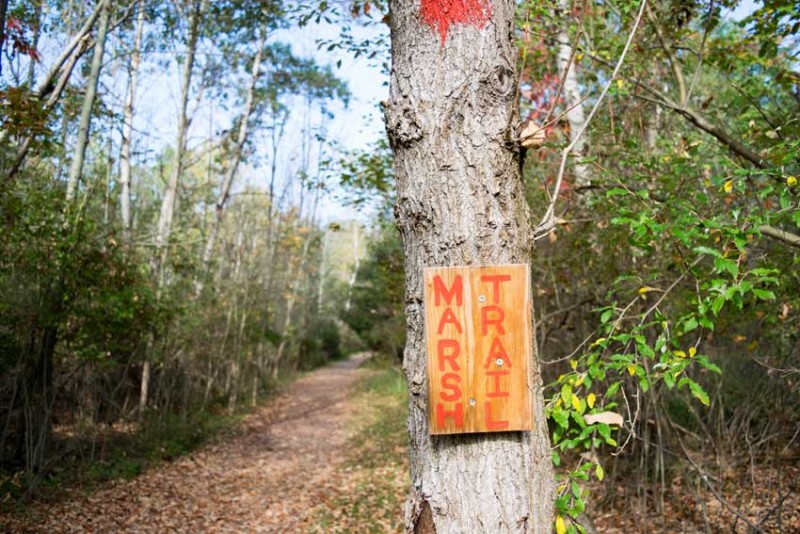 Marsh Trail