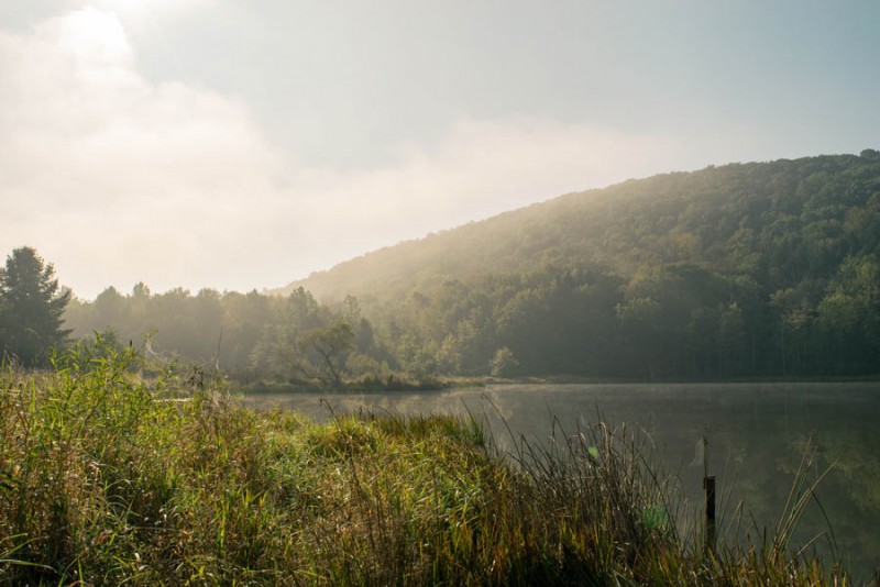 Nature preserve