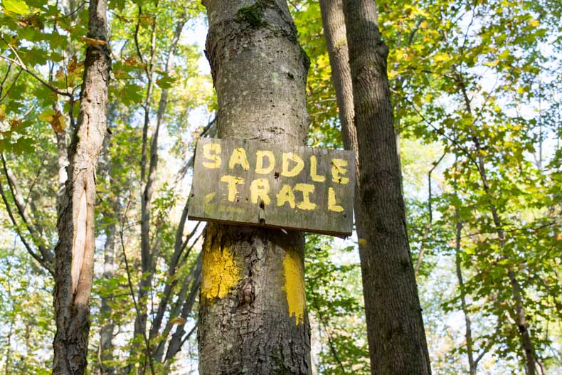 Saddle trail
