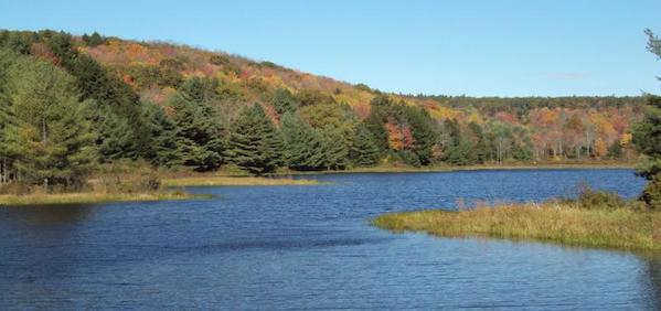 Hawkins Pond