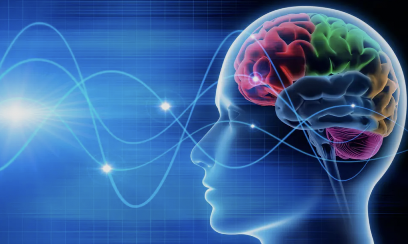 Graphic of a brain with brain waves