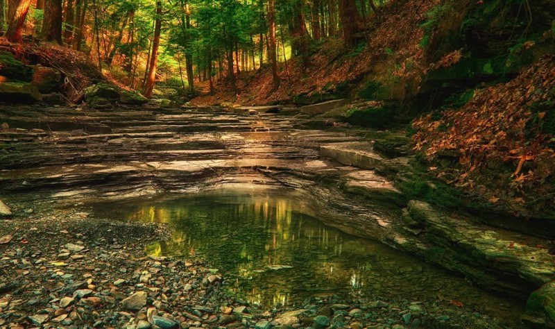 Rock formation/creek surrounded by fallen leaves