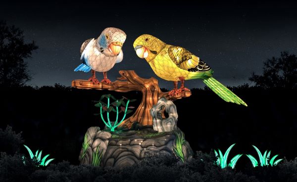 Two colorful lantern-lit birds