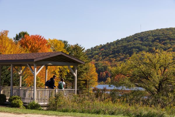 Binghamton University nature preserve