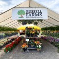 Russell Farms