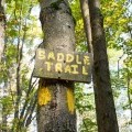 Saddle trail