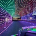 Car drives through a lighted display