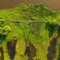 Lush green and water in the Nature Preserve seen from above.