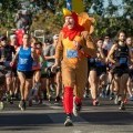 A man dressed as a Turkey leads a group of runners.