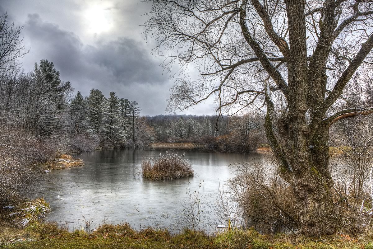 Nuthatch Hollow, a property on Bunn Hill Road donated to Binghamton University, will be the site of a Living Building that is currently in the early design phase.