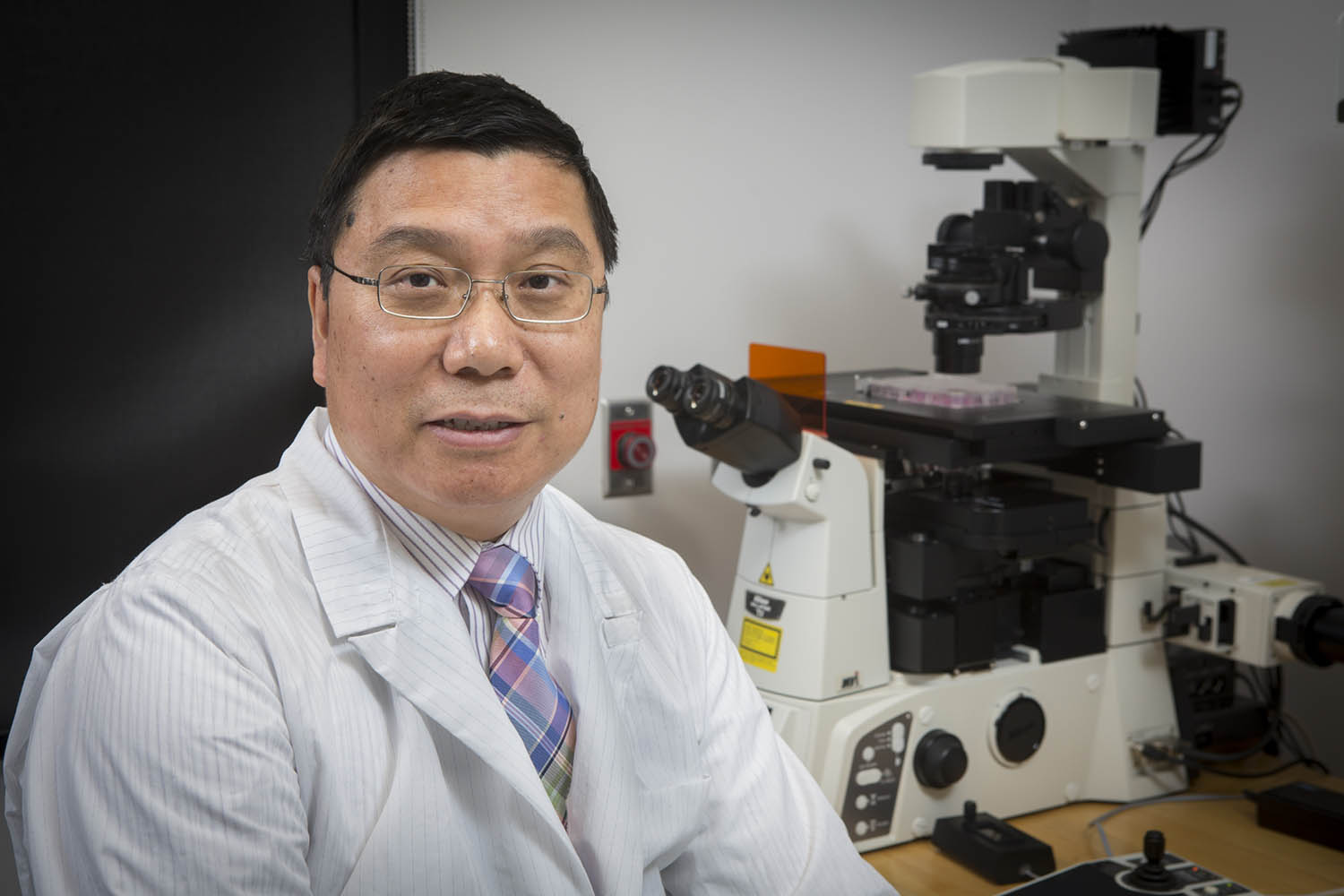 Kaiming Ye, chairman of the Department of Biomedical Engineering at the Thomas J. Watson School of Engineering and Applied Science, has been named a fellow of the Biomedical Engineering Society.