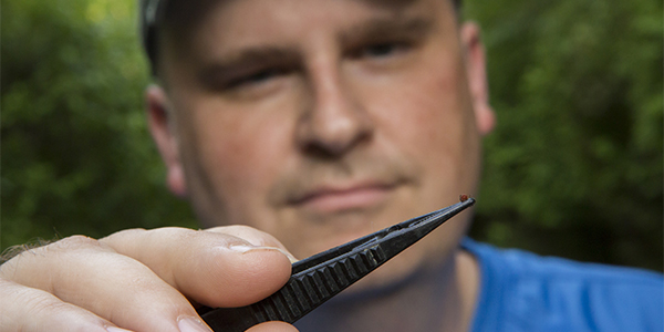 Alumnus John Darcy, PhD '14, holds a tick found in the Binghamton University Nature Preserve.
