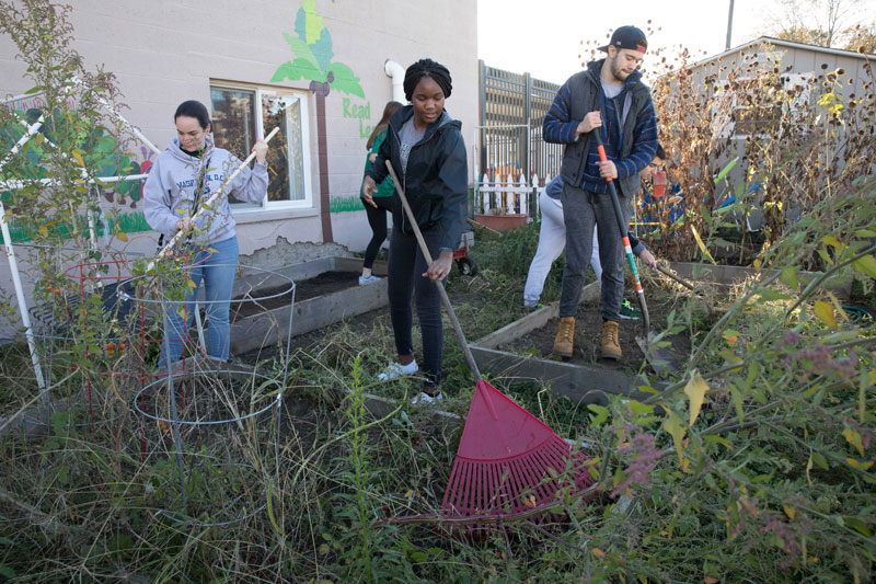 PwC Scholars clear out the garden at HCA in Johnson City, NY on Oct. 22, 2017. This will be the site of their 2018 community service project.