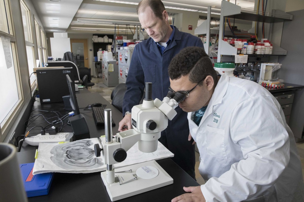 Emmanuel Clovis, of Onodaga Community College, confirms neuro-surgical outcomes for Parkinson's disease research for Psychology Professor Christopher Bishop, under the SUNY Upstate Bridges to the Baccalaureate summer program, June 4, 2018.