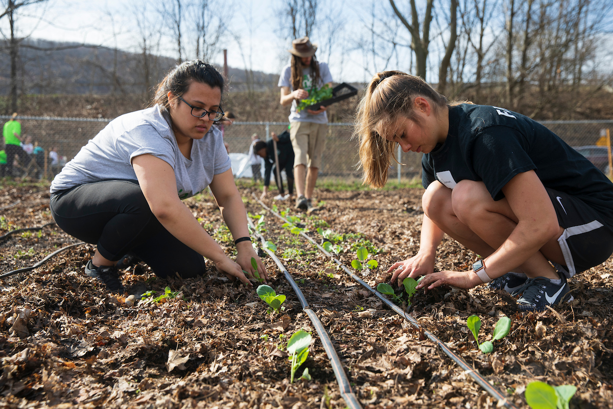 Volunteers help break ground on a two-acre expansion of the Binghamton Urban Farm, which grows food for the community, on April 13, 2019.