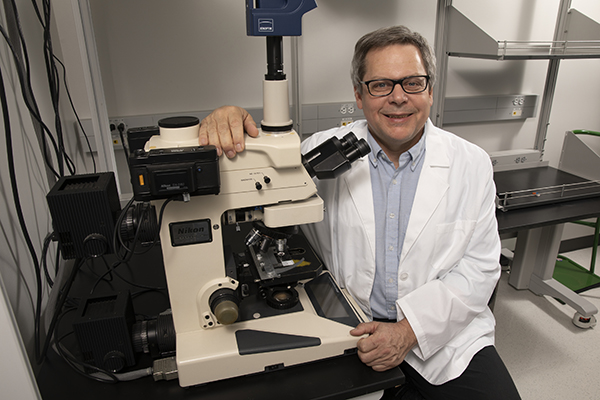 Eric Hoffman, associate dean for research and professor of pharmaceutical Sciences at Binghamton University's School of Pharmacy and Pharmaceutical Sciences, is working to find a cure for patients who suffer from muscular dystrophy.