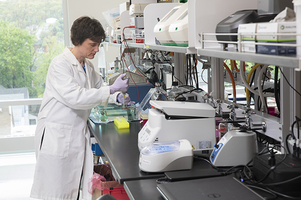 Aaron Beedle, associate professor of pharmaceutical sciences at Binghamton University, in her lab where she studies how to reduce disease and extend life span.